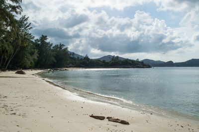 Scenic view of beach against sky