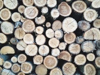 timber