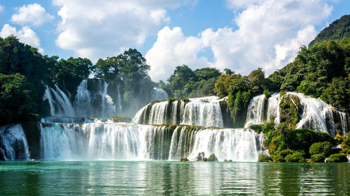 Scenic view of waterfall in forest