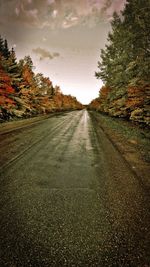 Road amidst trees against sky during autumn