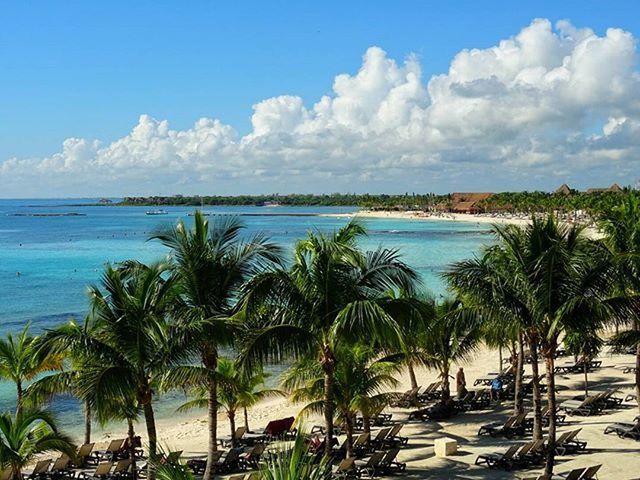 palm tree, sea, water, sky, horizon over water, tranquil scene, tranquility, tree, beach, scenics, beauty in nature, nature, growth, shore, blue, cloud - sky, tropical climate, idyllic, cloud, vacations