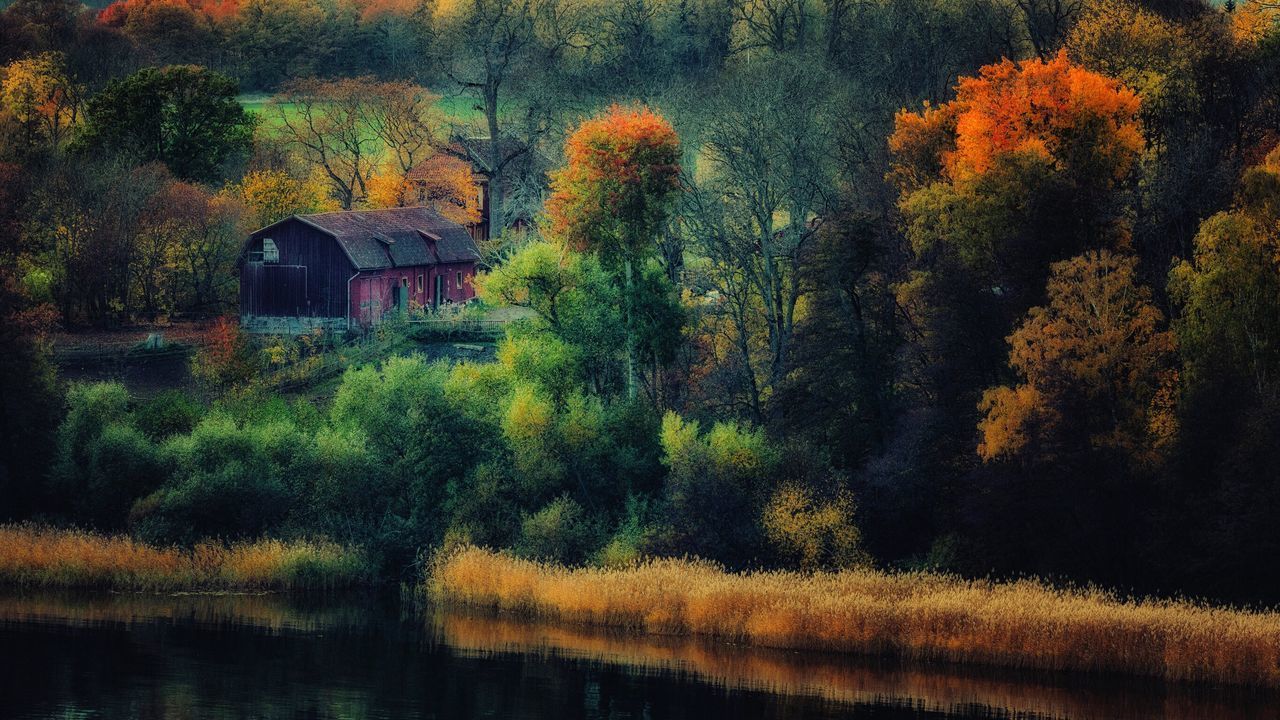 TREES BY LAKE DURING AUTUMN