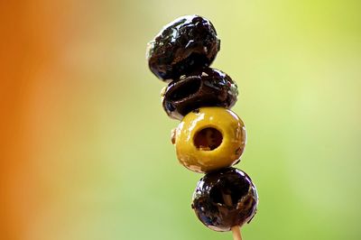 Close-up of green and black olives