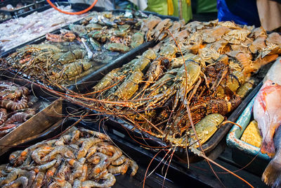 Close-up of lobsters for sale in market