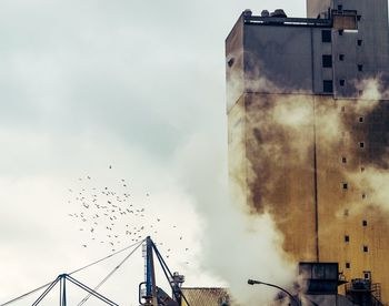 Low angle view of birds in city against sky