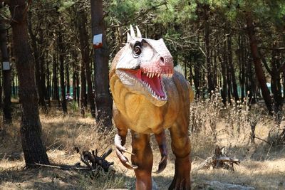 View of a horse in the forest