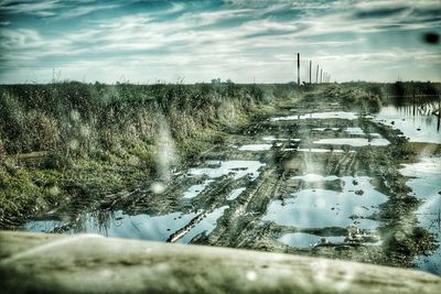 Reflection of trees in water
