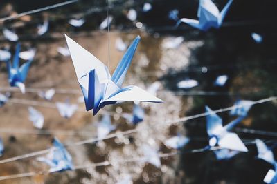 High angle view of origami birds hanging outdoors