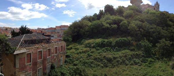 Houses by trees against sky