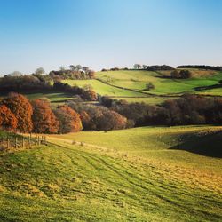 Scenic view of landscape against clear sky