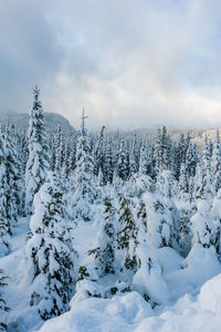 Scenic view of snow covered land against sky