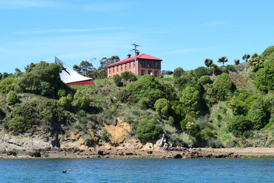 Trees and buildings by sea against sky