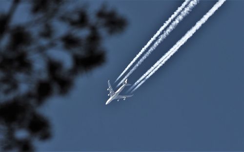 Low angle view of airplane flying against sky