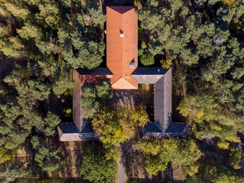 Aerial view of trees and building