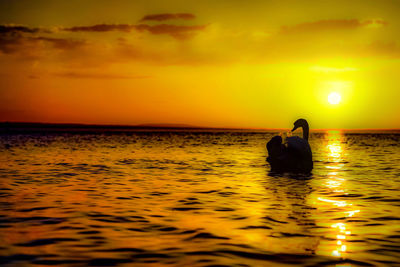 Silhouette in sea against sky during sunset