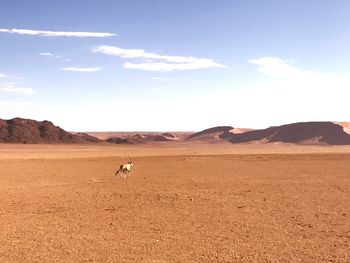 View of a desert