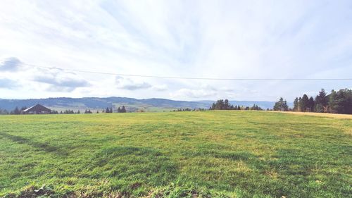 Scenic view of field against sky