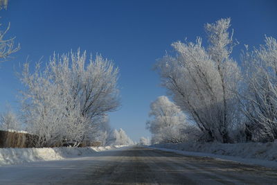 Road amidst trees against sky during winter