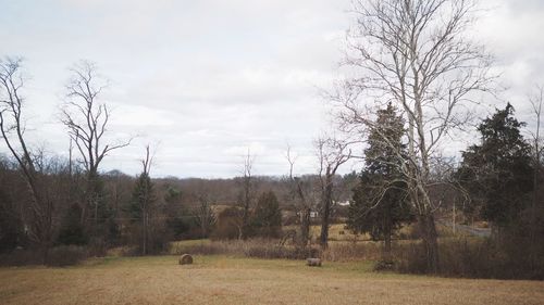 Bare trees on field against sky