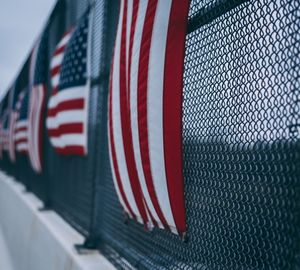 Close-up of flag