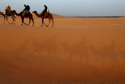 View of people riding camels in desert