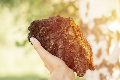 Close-up of hand holding ice cream