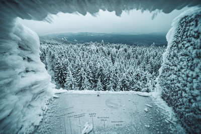 View of snow covered forest