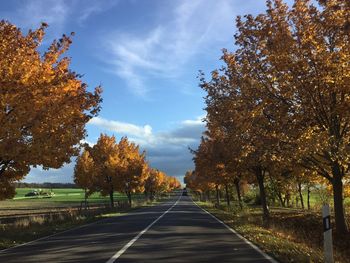 Road amidst trees against sky
