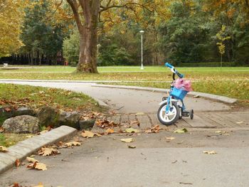 Boy sitting on bicycle in park