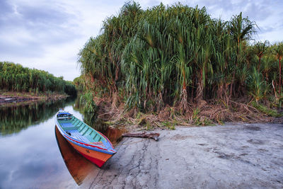 Boat moored on beach against sky