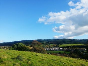 Scenic view of field against blue sky