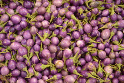 Full frame shot of small eggplants at market stall