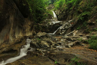 Scenic view of waterfall in forest