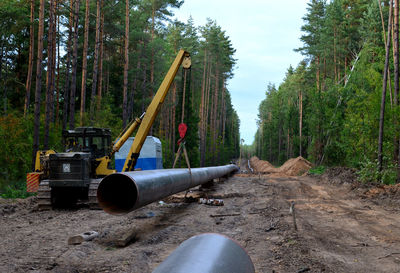 Panoramic view of road amidst trees in forest