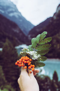 Midsection of person holding orange fruit on mountain