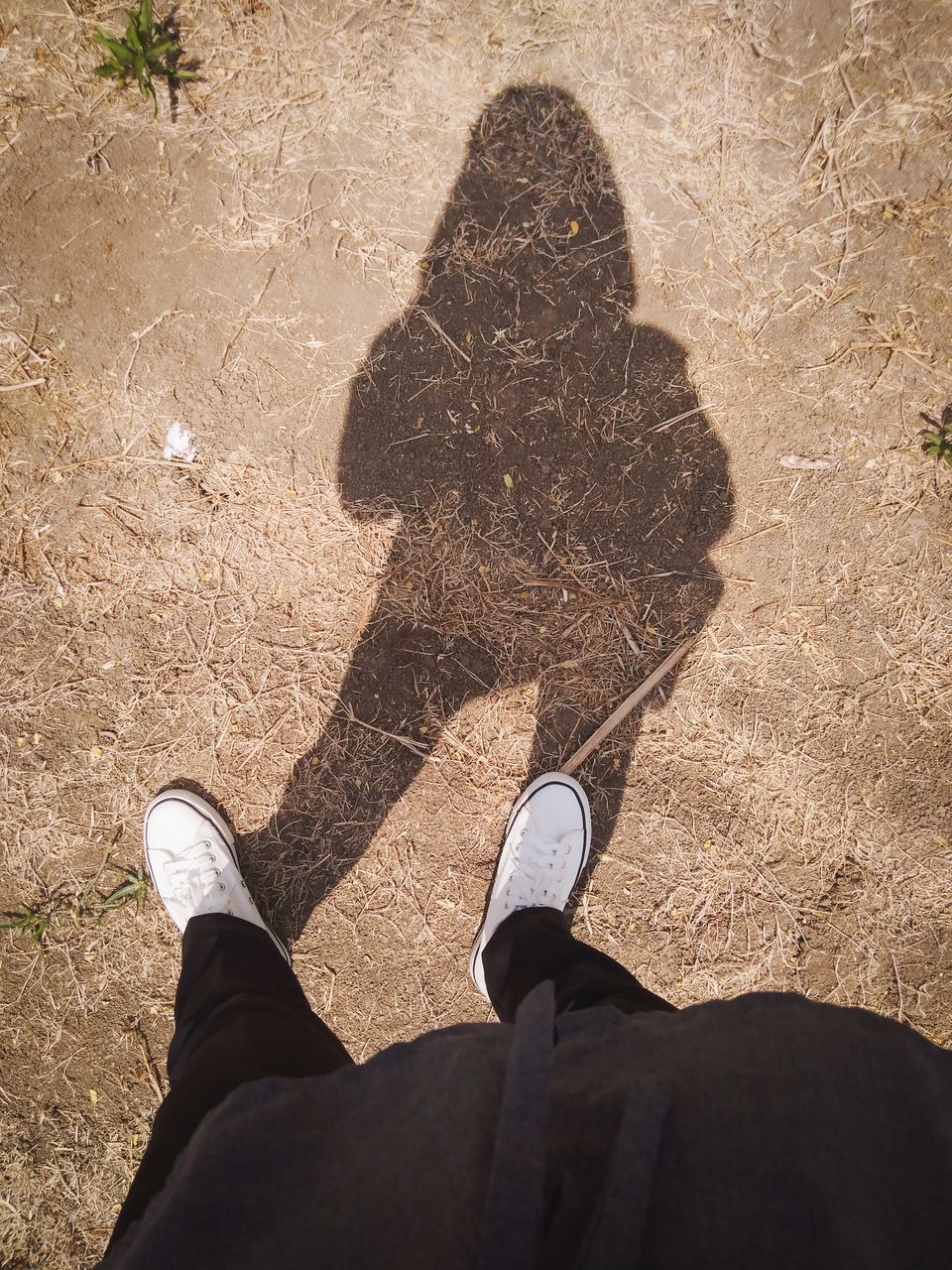 LOW SECTION OF MAN STANDING ON COBBLESTONE