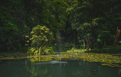 Scenic view of lake