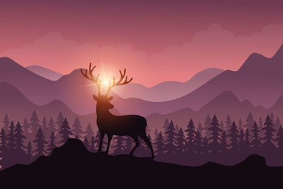 Silhouette of deer against sunset sky