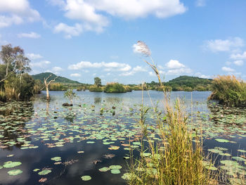 Scenic view of lake against sky