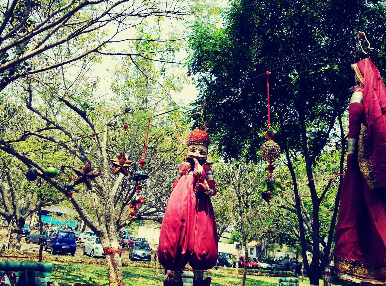 tree, lifestyles, leisure activity, person, men, branch, growth, celebration, flower, hanging, outdoors, red, park - man made space, rear view, low angle view, large group of people, standing, nature, day