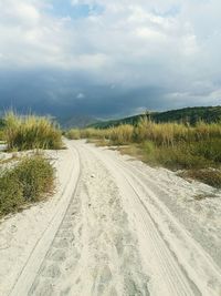 Road by agricultural field against sky