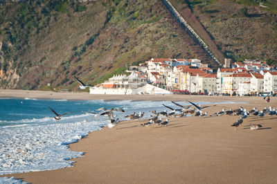 View of people on beach