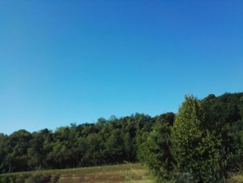 Trees on landscape against clear blue sky