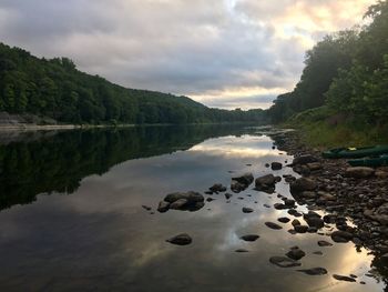 Scenic view of river and forest