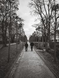 Rear view of men walking on footpath amidst bare trees