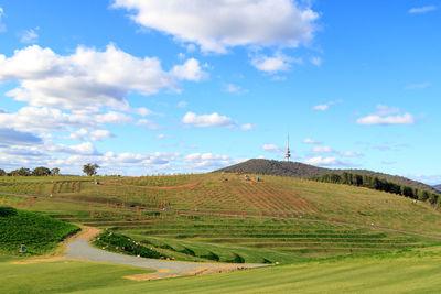 Scenic view of agricultural field against sky