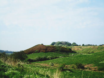hill