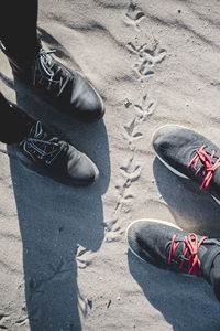 Shoes of two people standing on the beach separated by a bird footprints