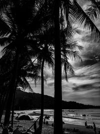 Silhouette palm trees on beach against sky