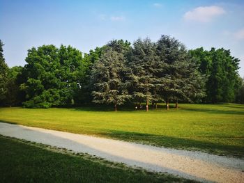 Scenic view of green landscape and trees against sky